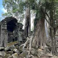 Angkor Wat - 1 Day Ticket