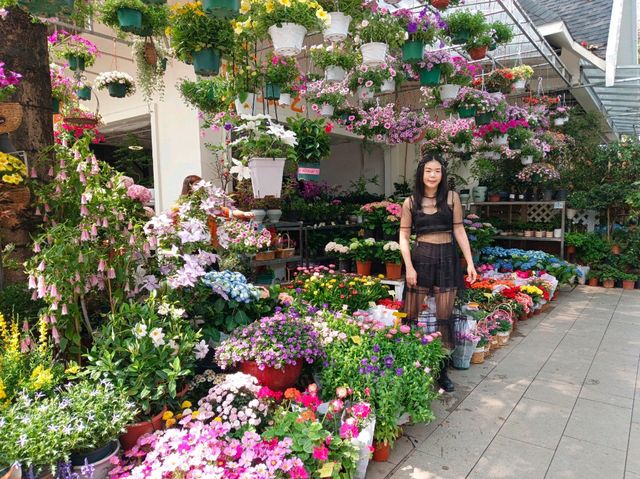 Netherlands Flower town / Dutch Flower town