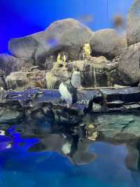 Underwater world langkawi