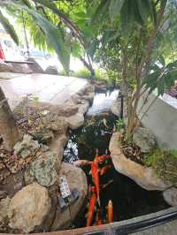 Cafe amzonสาขาวิวปัง ที่ต้องมาเชคอิน นครนายก