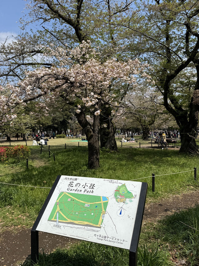 東京｜日比谷和代代木公園一日遊