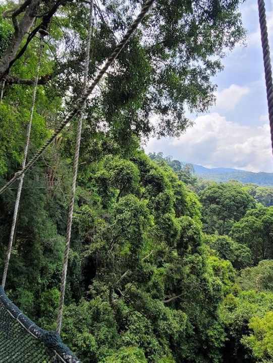Kinabalu Geopark – UNESCO-Listed Mountain & Biodiversity Hotspot** 🏔️🌿  