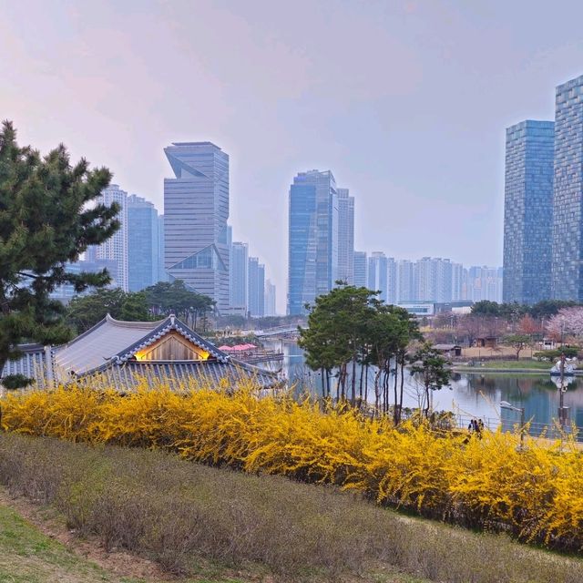 낭만 가득한 송도 센트럴파크공원
