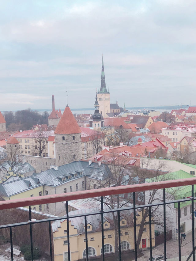 【エストニア タリン】フィンランドから海を超える小さな旅