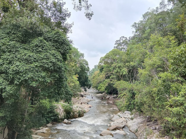 💦 Waterfall Woes & Whoas: My Splashy Day at Chamang 🌿🌈