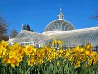 Chilling at the Glasgow Botanic Gardens 🌿🌼🏛️🌞🍃