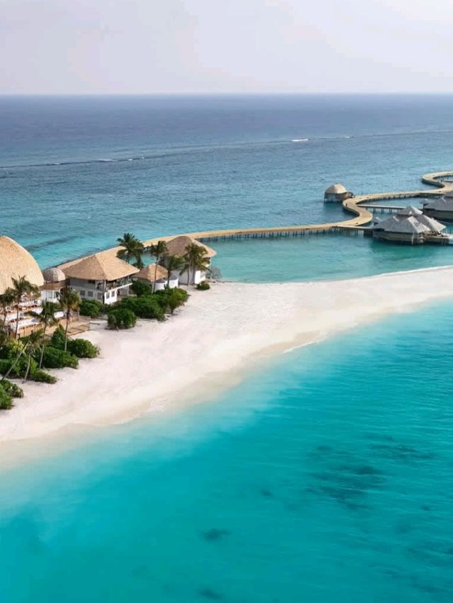 🌺 Escape to Untouched Beauty: Haa Dhaalu Atoll, Maldives! 🌊✨