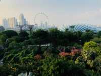Visiting Gardens by the Bay: A Journey into Nature and Wonder 🌟