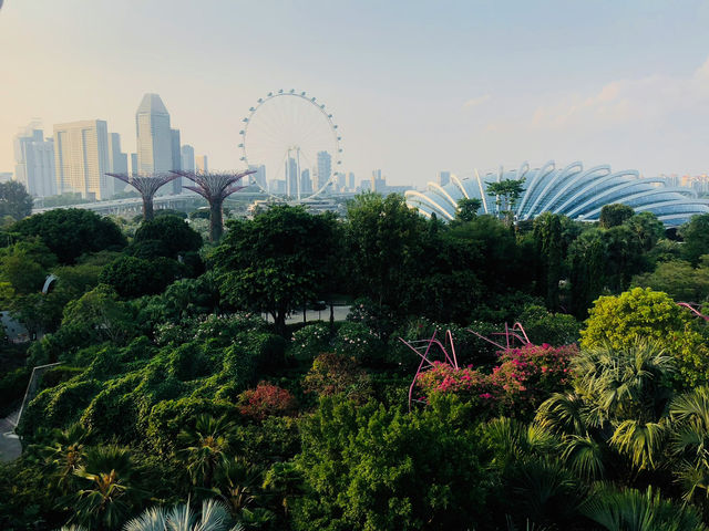 Visiting Gardens by the Bay: A Journey into Nature and Wonder 🌟