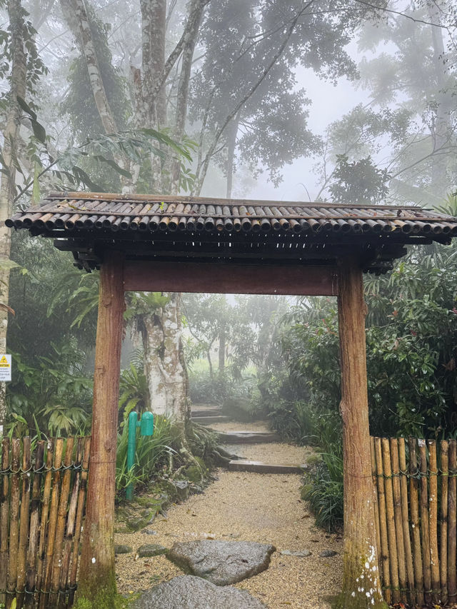 Into the Misty Japanese Garden!