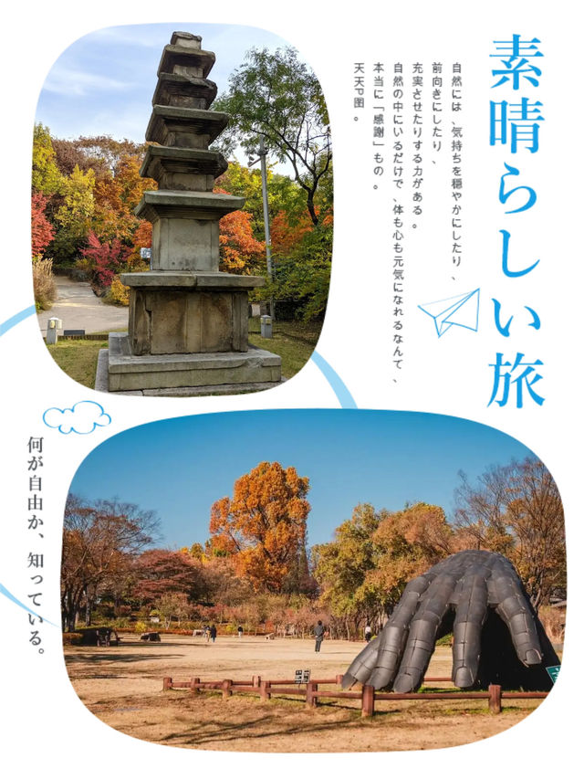 首爾市區秋景必選之一