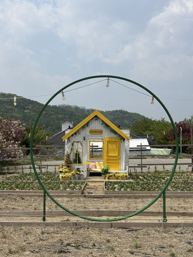2000평 규모의 정원이 있어 구경하기 좋은 원주카페🌳