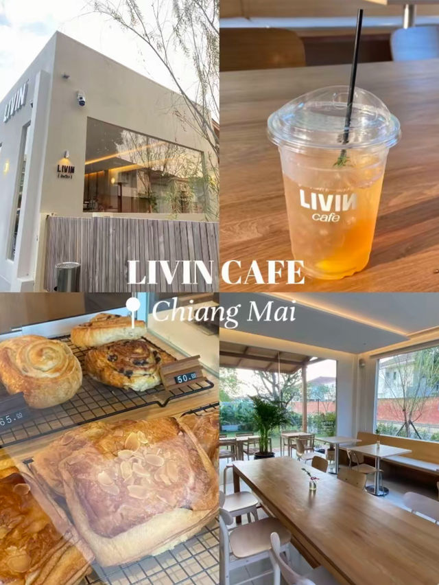 คาเฟ่มู้ดดี ราคาไม่แรง ติดตัวเมืองเชียงใหม่ 🥐