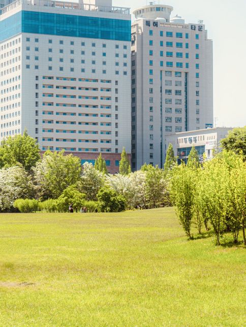 Discovering Wildflower Beauty at Deul's Park