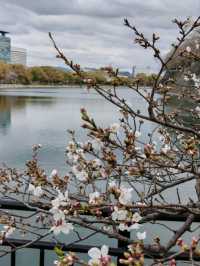 大阪城公園历史與自然的完美融合