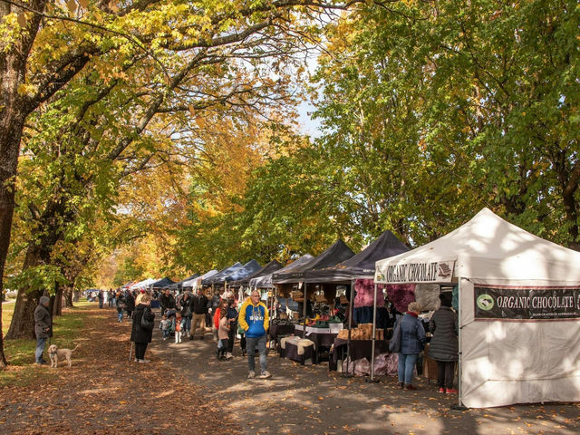 🏔️🌿 Spring Mountain Escape: A Cozy Weekend in Victoria’s Highlands