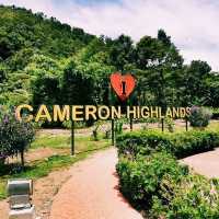 Cameron Highlands Flora Park: A Floral Wonderland in Malaysia