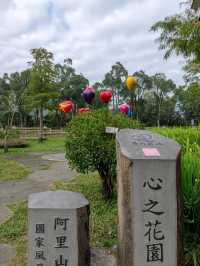 #旺來山-愛情大草原-嘉義縣番路鄉