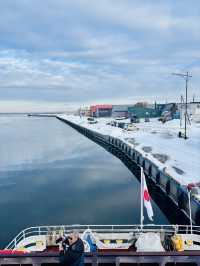 【北海道】網走破冰船極光號：乘風破冰的震撼感