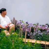 สวนดอกไม้ ป้างฮวา 🌺 l เชียงใหม่