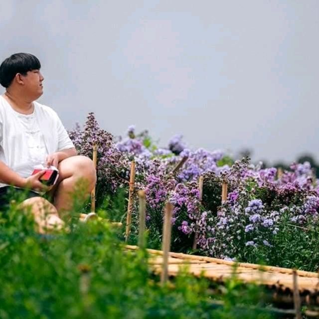 สวนดอกไม้ ป้างฮวา 🌺 l เชียงใหม่