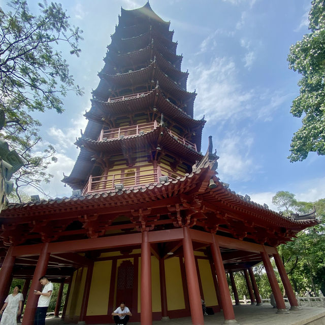 探秘歷史建築與城市風光之美✨深圳龍華大浪日遊⛪️🌴🌊 🛍️