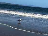 Explore the beauty of Hobart Seven mile Beach 