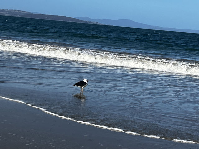 Explore the beauty of Hobart Seven mile Beach 