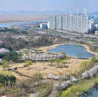 Ansan Lake Park (Ansan)