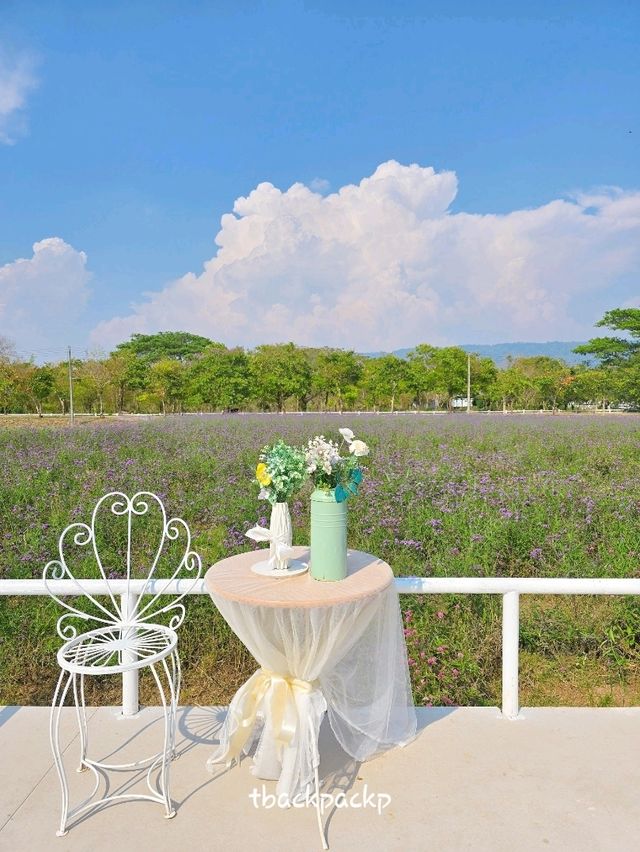 Bliss & Bloom Cafe ทุ่งดอกไม้ ใน Verona ทับลาน🌸