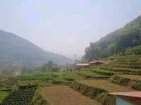 Chitwan National Park: Nepal’s Wild Treasure