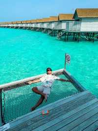 Maldives recap
