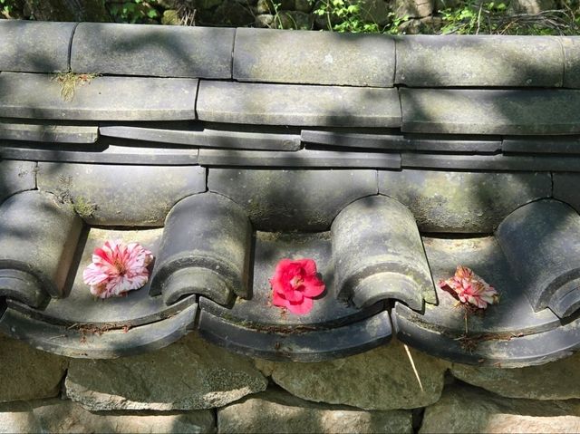 우주발사