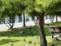 A Trip to Janggye Tourist Site in Okcheon, Near Daejeon