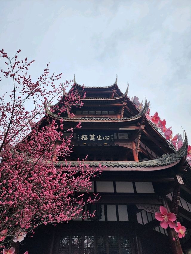 고요한 정원 속 작은 세계, 두보초당의 분재