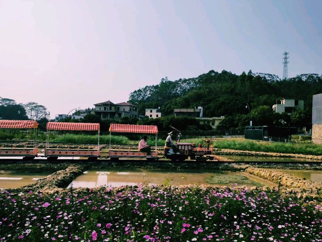 中國廣州著名景點：天人山水度假區·大地藝術園，適合打卡拍照📸