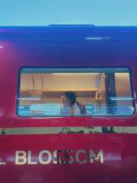 นั่ง Royal blossom ไปหาความสุขกัน