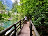 瑞士藍湖 Blausee，如畫一般的透藍翠綠絕景