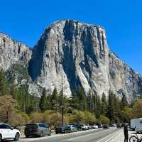 🏔️ Escape to Yosemite: A Breathtaking Day Trip from San Francisco! 🏞️