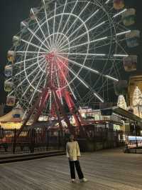 The Massive Grinning Face of Luna Park 
