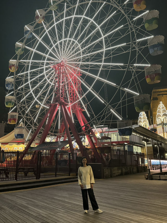 The Massive Grinning Face of Luna Park 