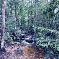 Permai Rainforest Resort: A Serene Getaway in Nature’s Embrace