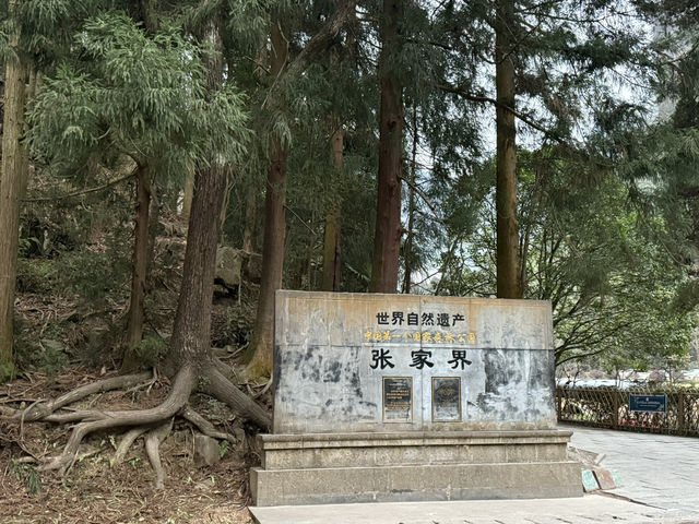 張家界看仙境奇峰