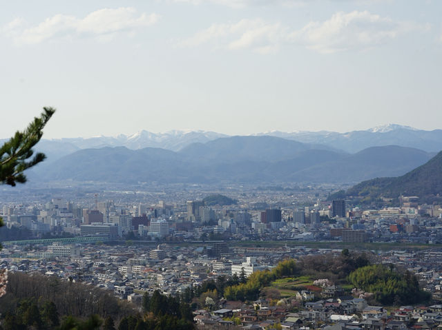 JR東日本鐵路周遊券：福島賞櫻 