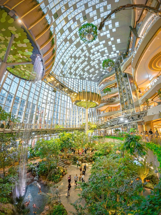 Sumter Mall Champs Sports Tuttle Mall Longmenhao Old Street