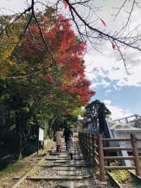【京都・山科】  知る人ぞ知る絶景寺院「毘沙門堂門跡」で、静かで美しい京都時間を🍁🌸