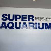 日本で唯一ラッコに会える水族館🦦ꕀ