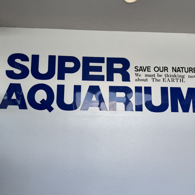 日本で唯一ラッコに会える水族館🦦ꕀ