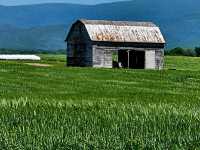 Skyline Adventures: Hiking Through Shenandoah’s Blue Ridge Beauty
