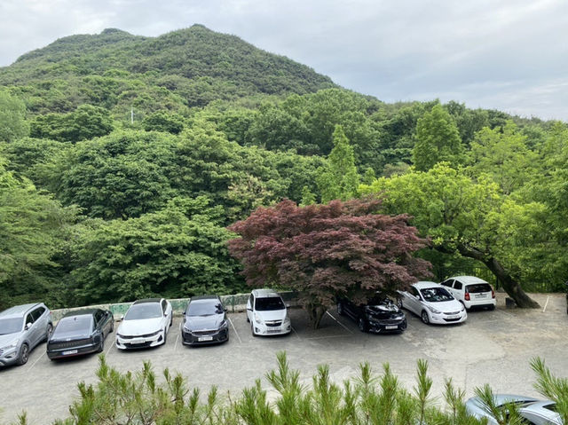 대구 근교 카페 비슬산 “카페 담”